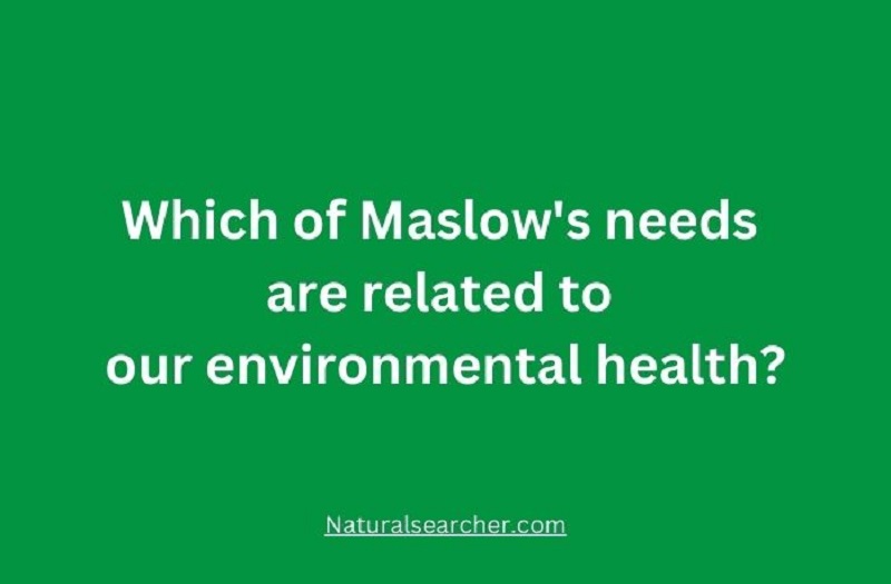 Which of Maslow's needs are related to our environmental health?